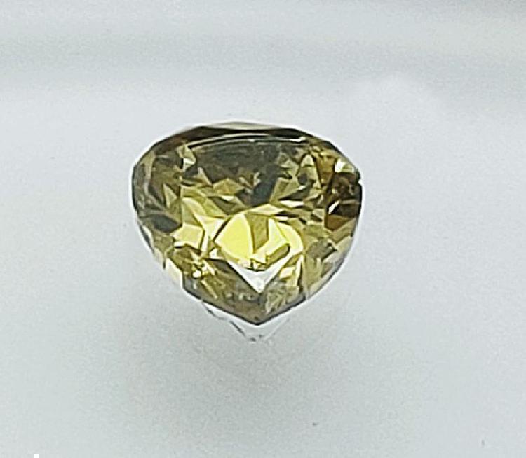 Lens holder sea sea držalo leč