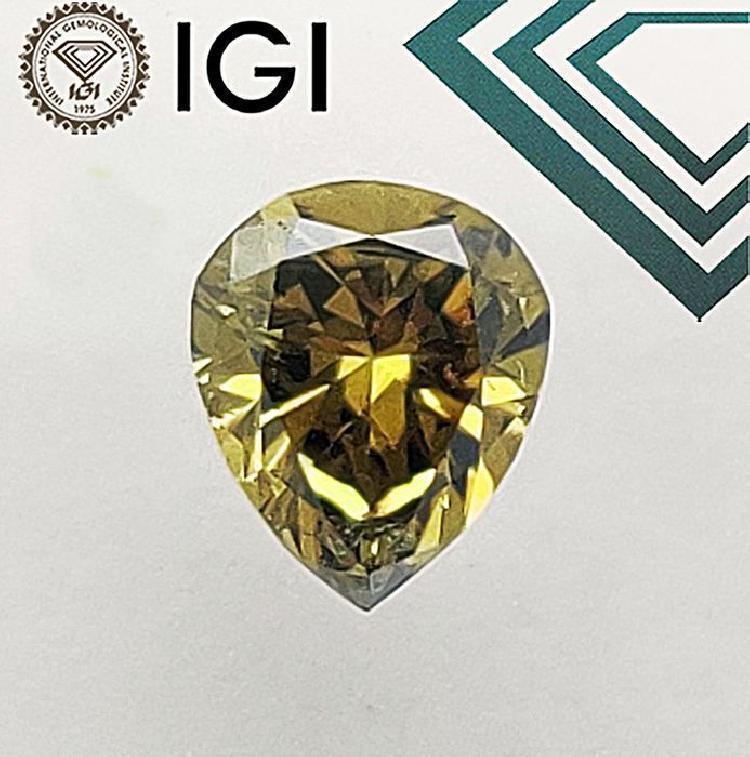 Lens holder sea sea držalo leč